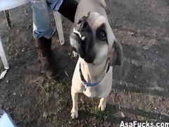 jugoso pornstar solo
