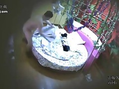amateur ezel grote pik hardcore warm hotel