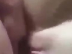 아마추어 못쓰게 만들다 고양이 비탄 젖은